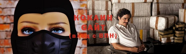 ешки Горняк