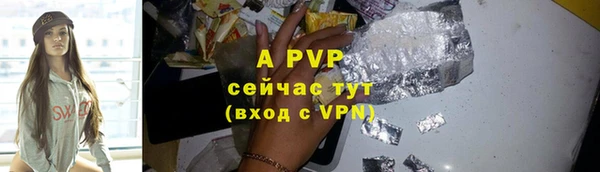 ешки Горняк