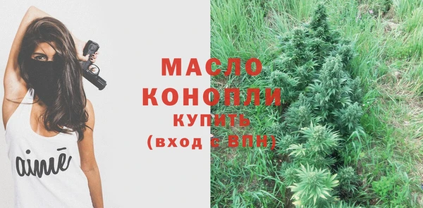 ешки Горняк