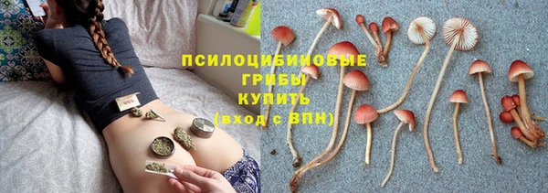 мяу мяу кристалл Горно-Алтайск