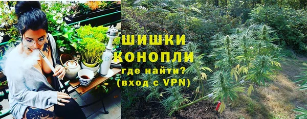 ешки Горняк