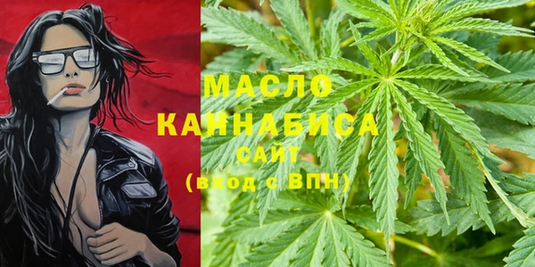 ешки Горняк