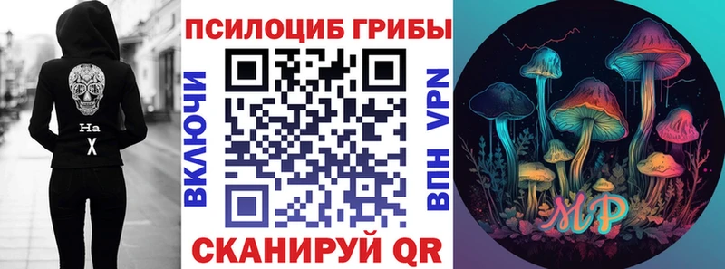 Купить где  Полярные Зори  Псилоцибиновые грибы прущие грибы 