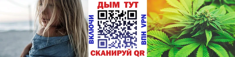 Канабис OG Kush  Купить где  Полярные Зори 